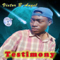 Victor B Angel - Testimony (Cover)